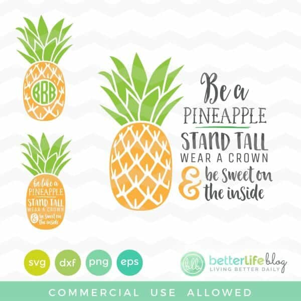 Free Free 305 Sweet One Pineapple Svg SVG PNG EPS DXF File
