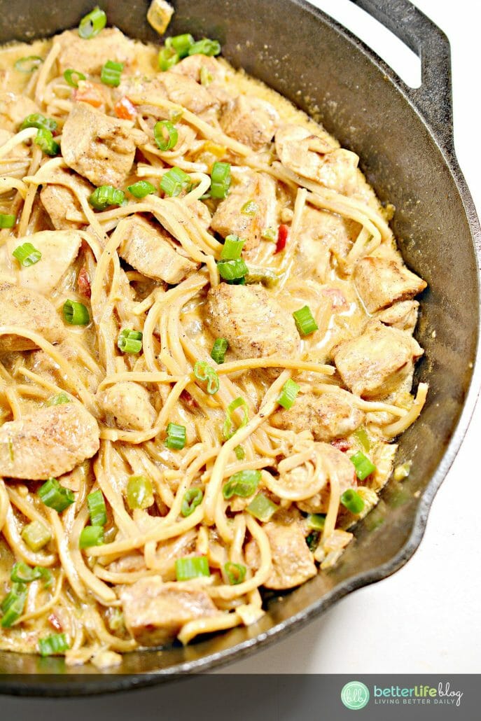 This Chicken dish with Palmini noodles will give you that "pasta" fix if you're on a Keto/low-carb diet. Absolutely delicious!