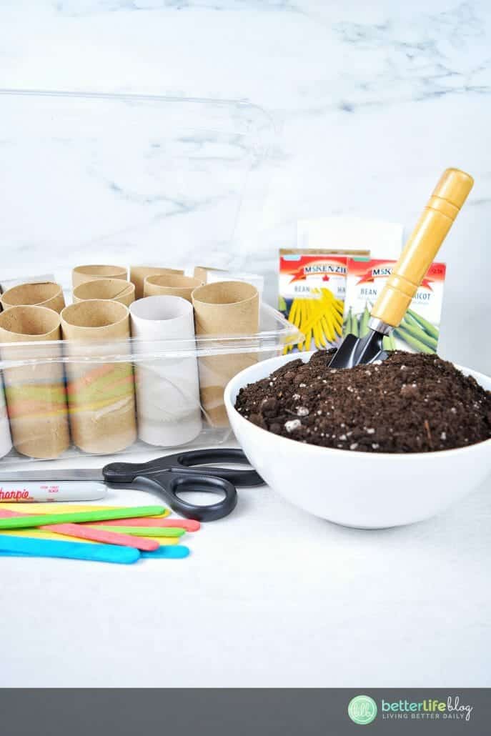 DIY Seed Starter - Start your seeds with this awesome DIY. It’s simple, budget-friendly and you likely already have the materials in your craft drawer. Happy gardening!