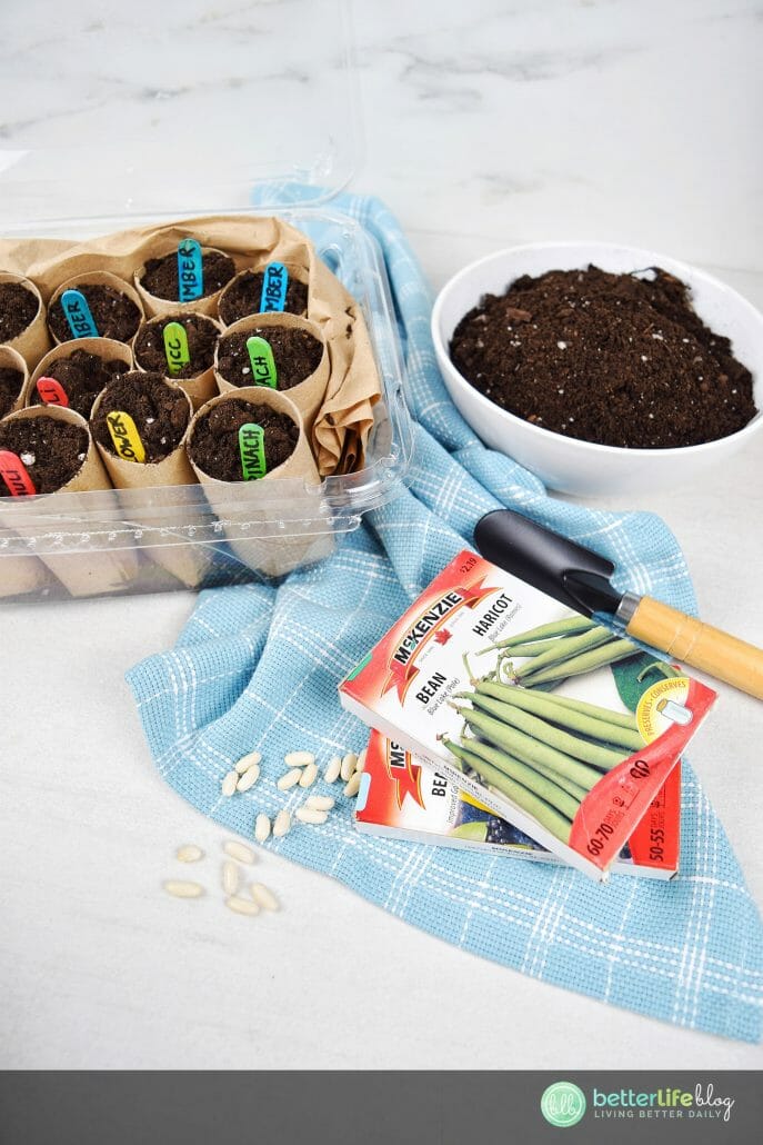 DIY Seed Starter - Start your seeds with this awesome DIY. It’s simple, budget-friendly and you likely already have the materials in your craft drawer. Happy gardening!