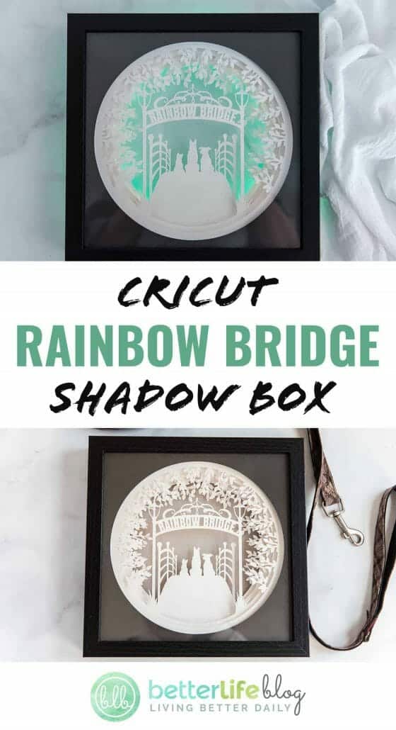 Cricut Rainbow Bridge Shadow Box - My step-by-step tutorial on how to create a unique, intricate shadow box using a trusty Cricut machine.