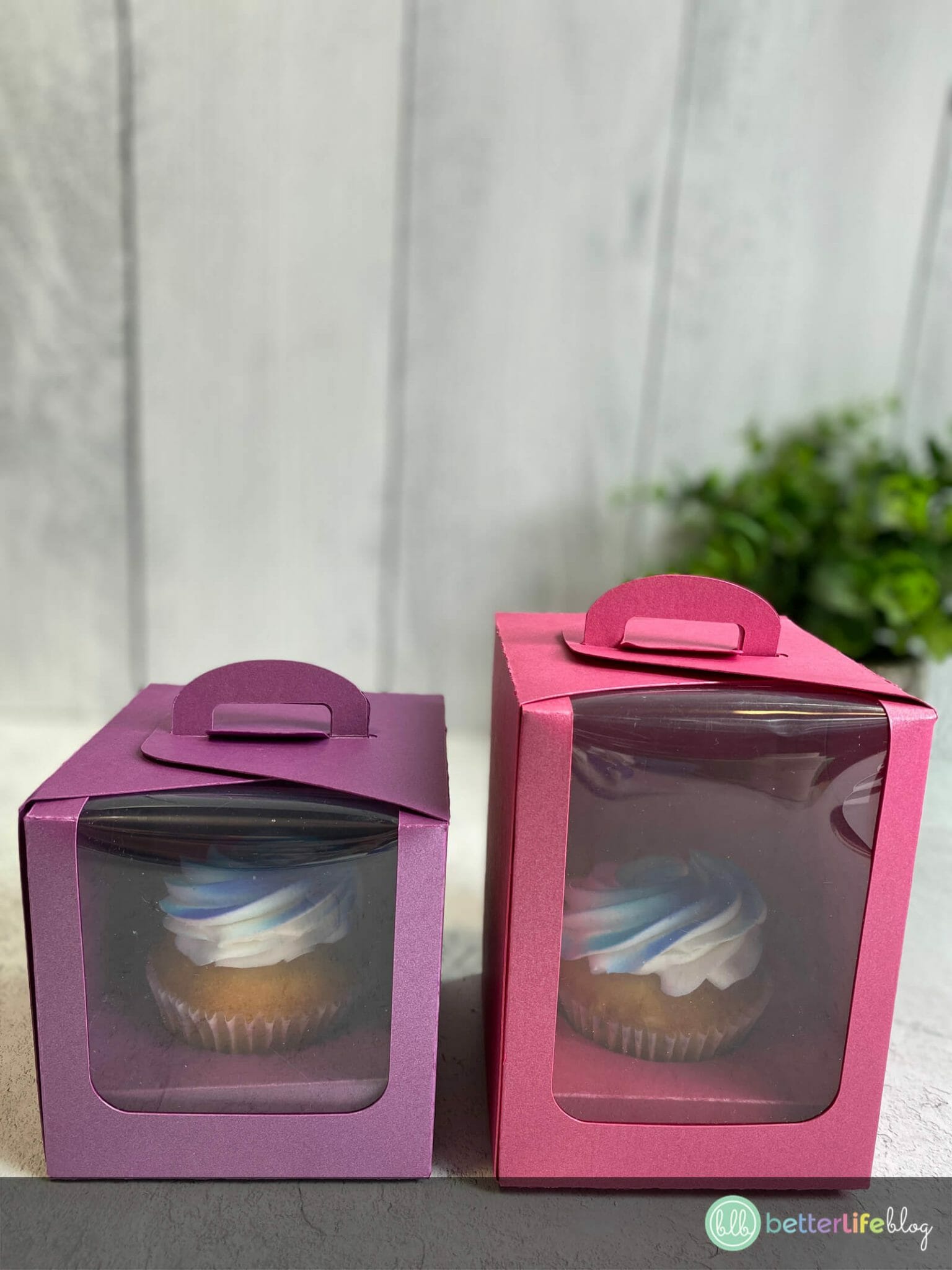 How to Make a Cupcake Holder Box With Your Cricut Better Life Blog