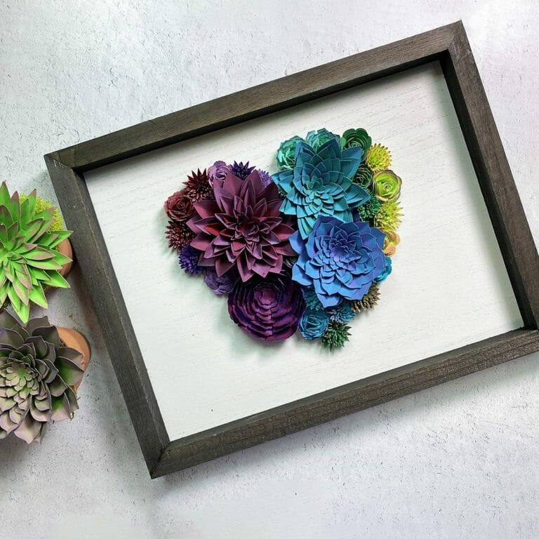 Succulents