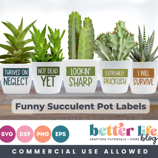 Funny Succulent Labels SVG Cut File